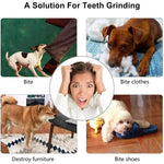 The Ultimate Dog Toy — Treats + Playtime + Dental Care