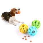The Ultimate Dog Toy — Treats + Playtime + Dental Care